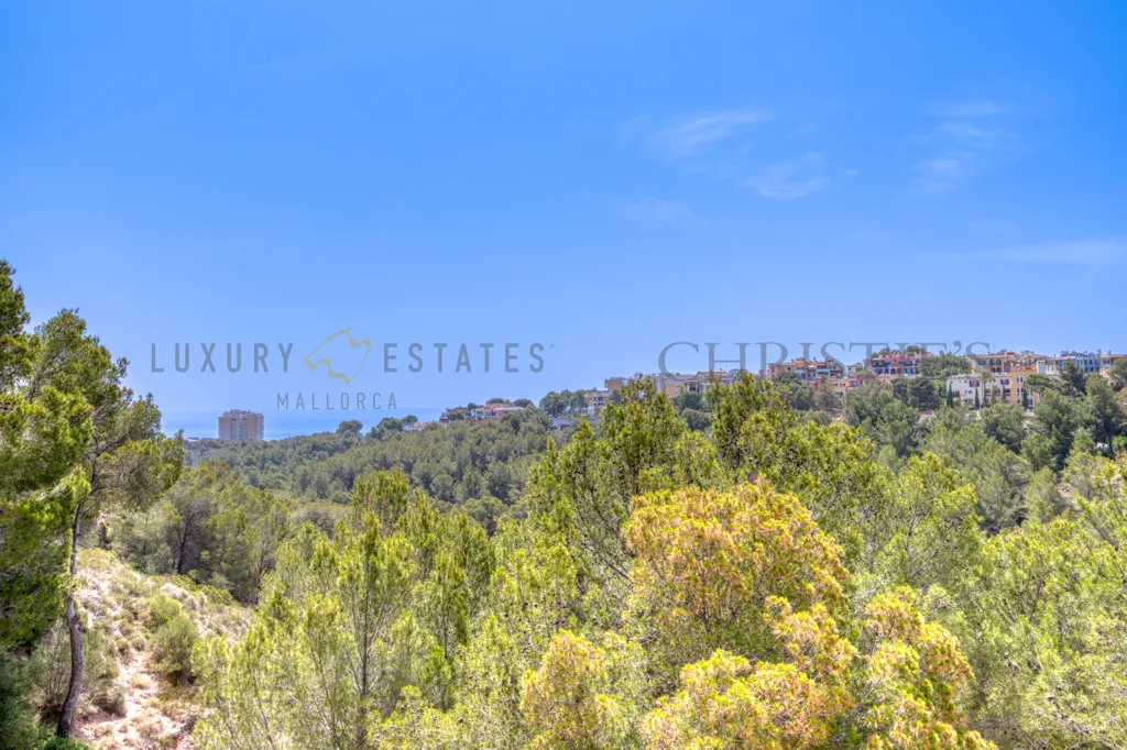 Jardin - Refurbished Penthouse with Rooftop Pool in Bendinat