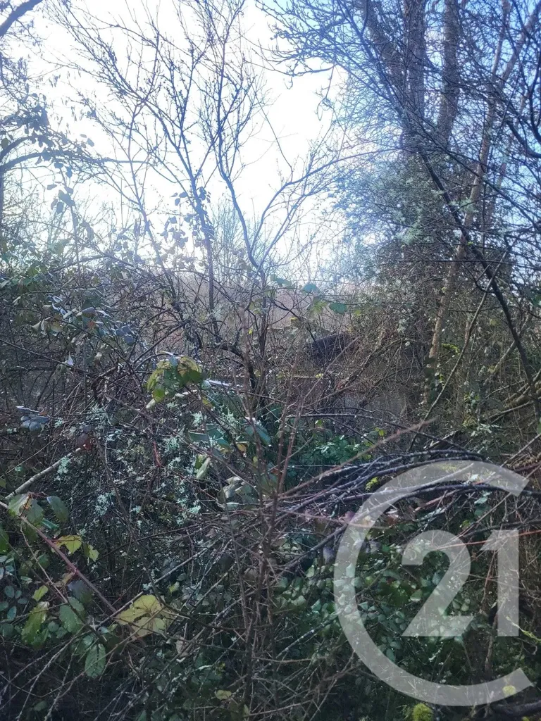 Terrain à VAUX