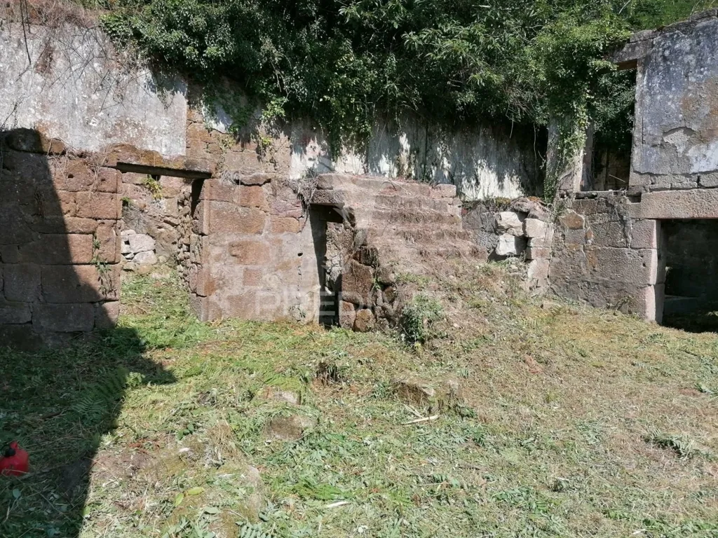 Aed - Rural Quinta with Olive Trees in Douro Region