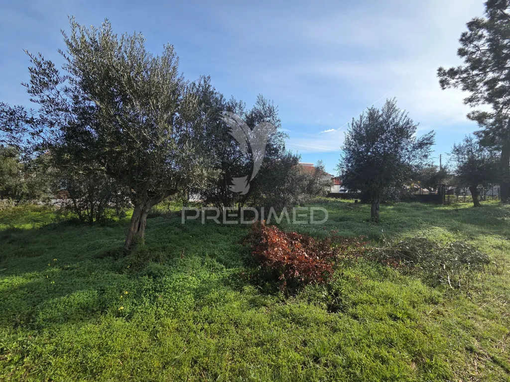 Aed - Urban Plot with Construction Permit in Ribatejo