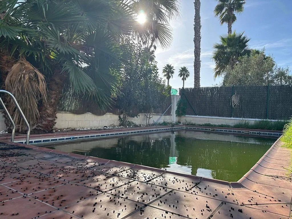 Piscina - Chalet with Private Pool in Loma del Puerco