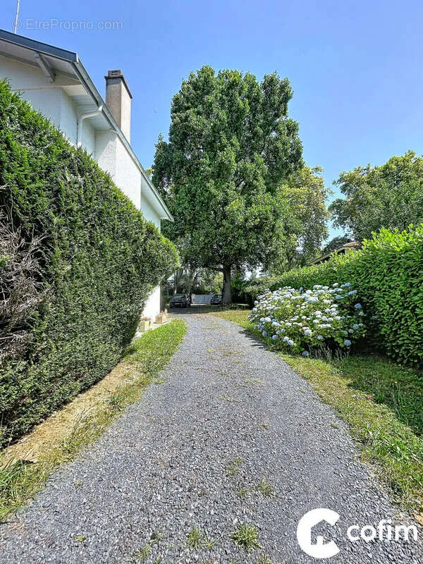 Extérieur - Villa Familiale avec Vue Pyrénées à Pau