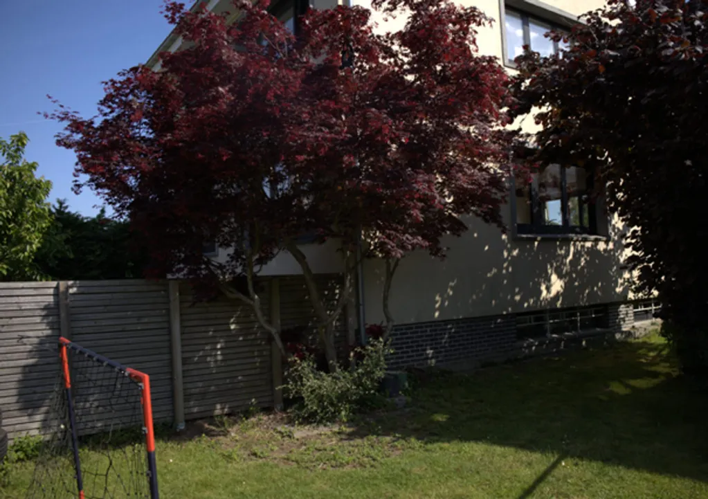 Giardino - Charming House with Garden in Dilbeek