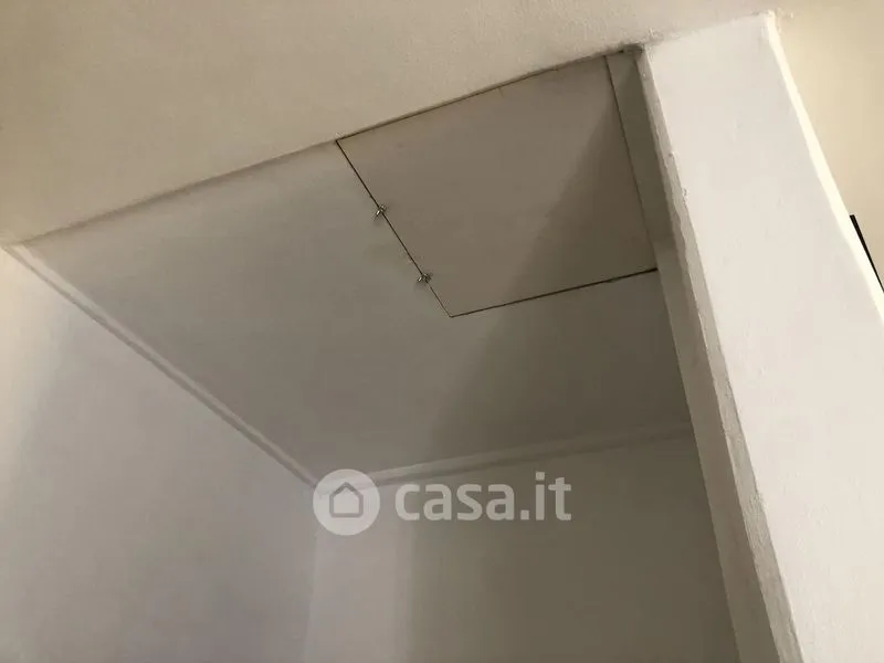 Toad - Five-Room Apartment with Private Terrace in Grosseto