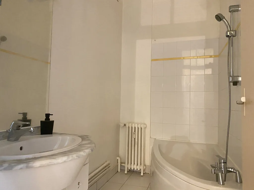 Vannitoad - Meubled T3 with Art Deco in Nantes