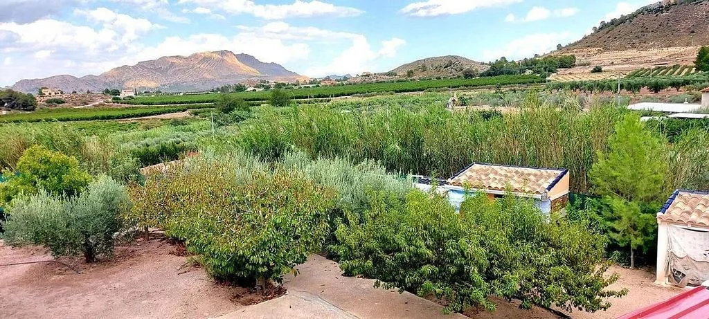 garden