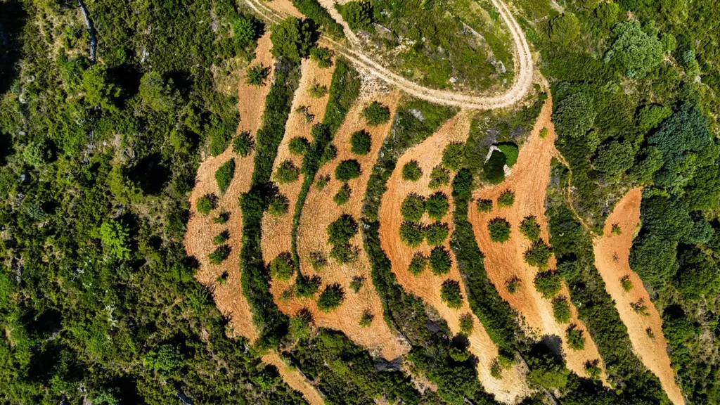 Õhuvaade - Eco-Resort Platform with DIC in Sierra Engarcerán