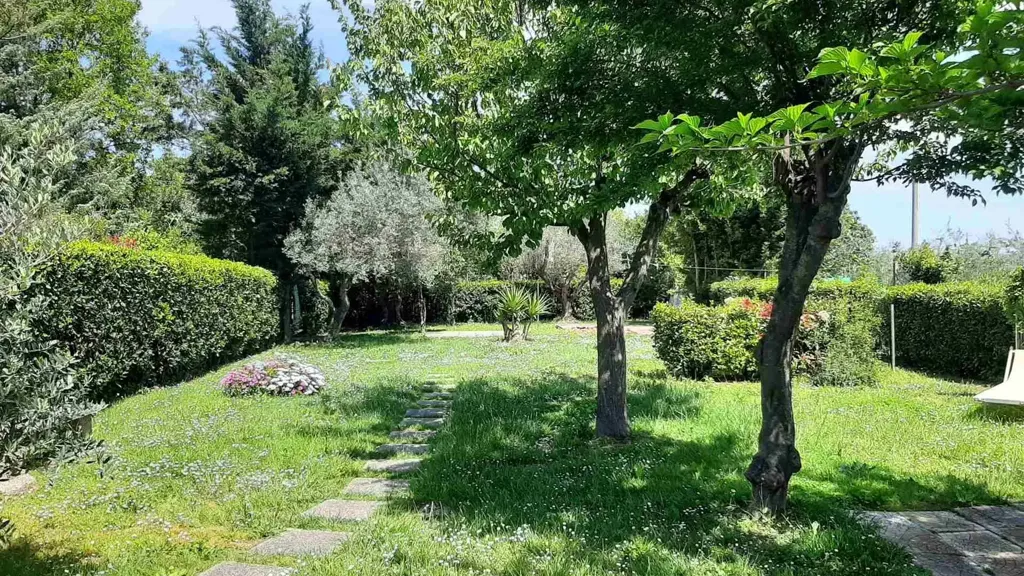 Aed - New Villa with Garden in Rosignano Marittimo