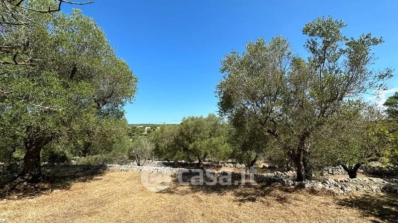 Jardin - Rustic Casale with Pool in Ostuni