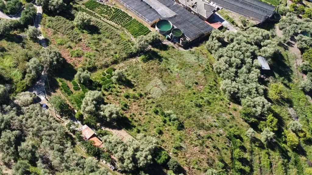 Vue aérienne - Rustic Cottage with Olive Grove in Perinaldo
