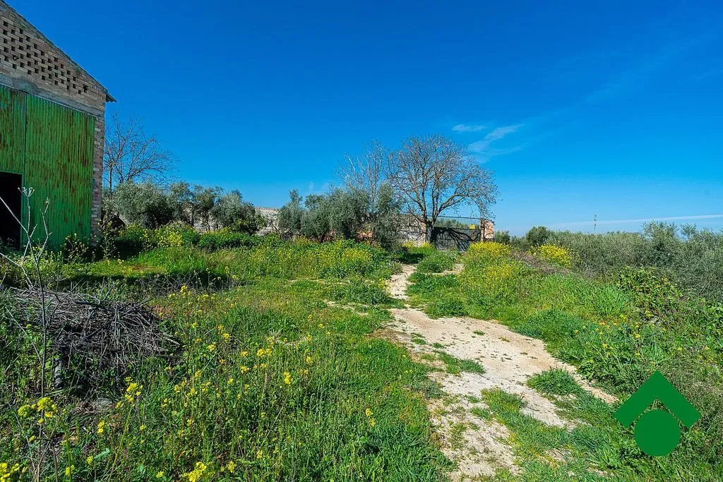 Giardino - Rustic Farmhouse with Terrace in Chauchina