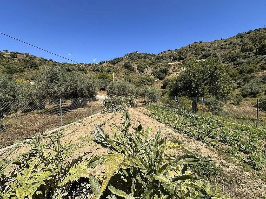 Jardin - Country House with Terrace in Comares