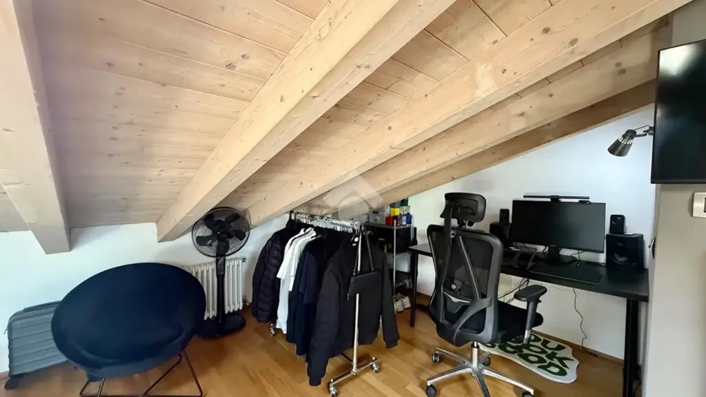 Toad - Loft with Terrace in Sona
