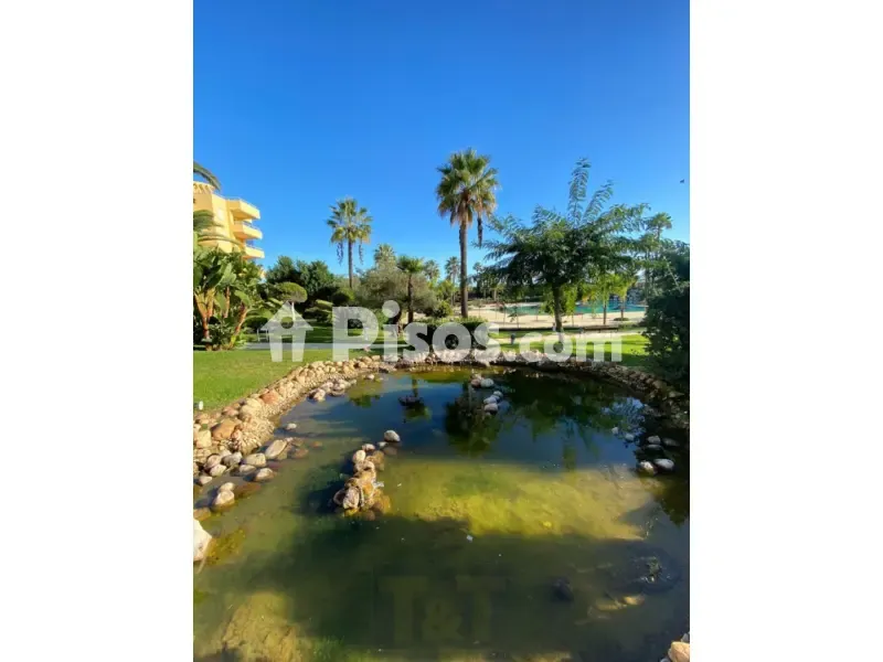 Jardin - Marine-View Penthouse in Islantilla