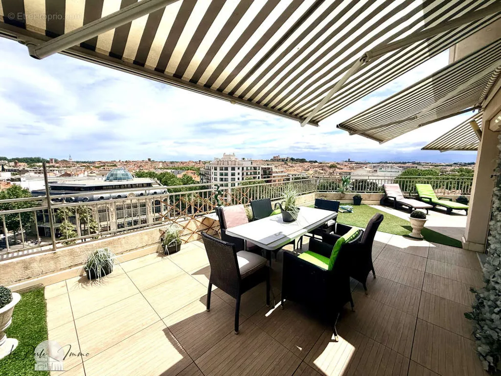 terrace_patio