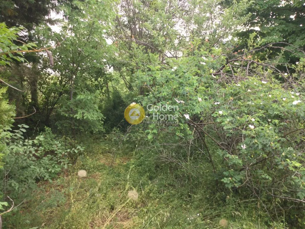 Aed - Buildable Plot with Mountain View in Peuka Centre