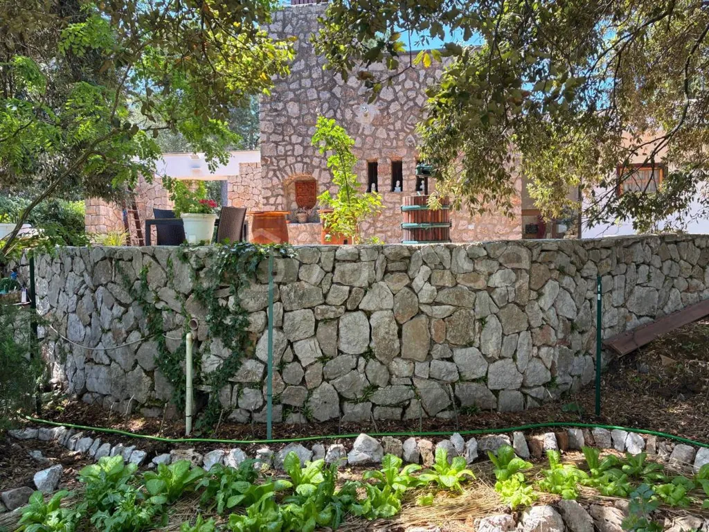 Giardino - Architectural Villa with Garden in Itri
