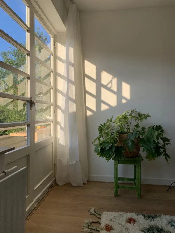 living_room