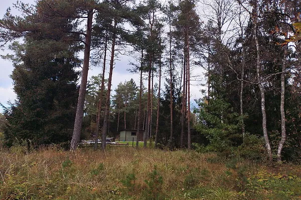 Aed - Country Plot with Forest Access in Koppelmaa