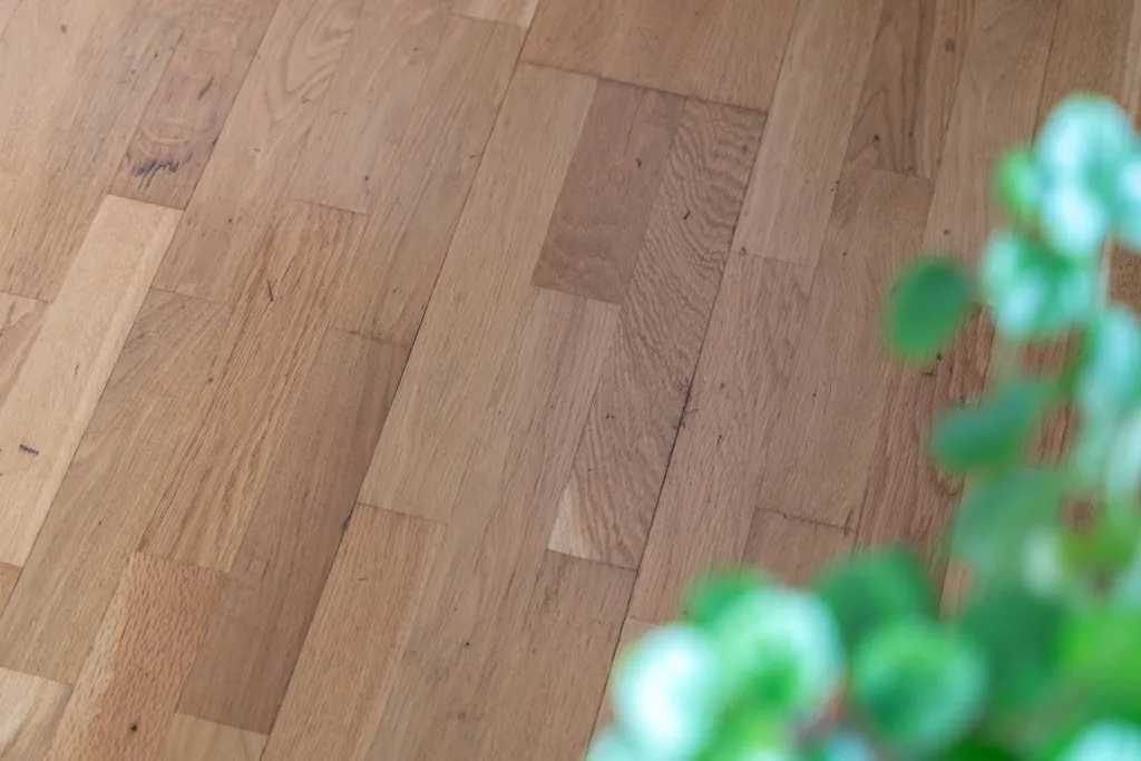 Toad - Apartment with Potential in Solhjulet