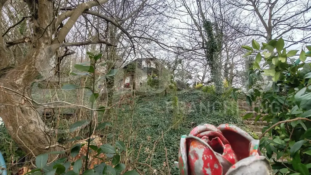 Aed - Rustic House with Garden in Collesalvetti