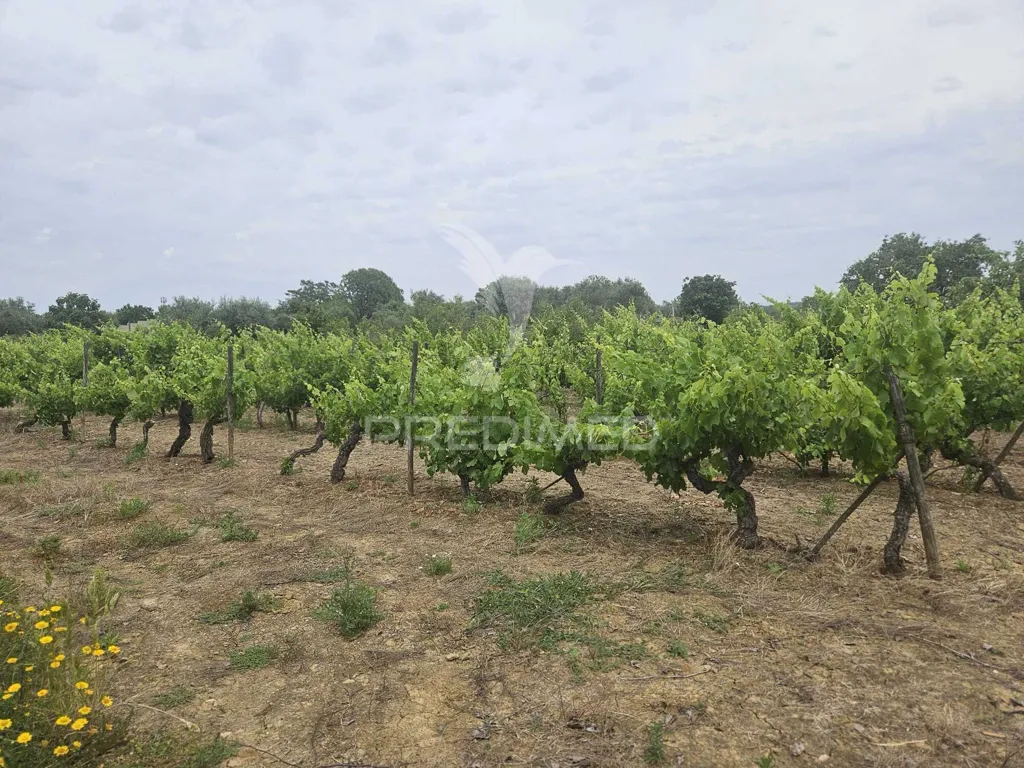 Giardino - Urban Plot with Construction Potential in Valdonas
