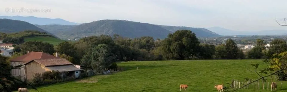 Terrain Constructible avec Jardin à Laveyron