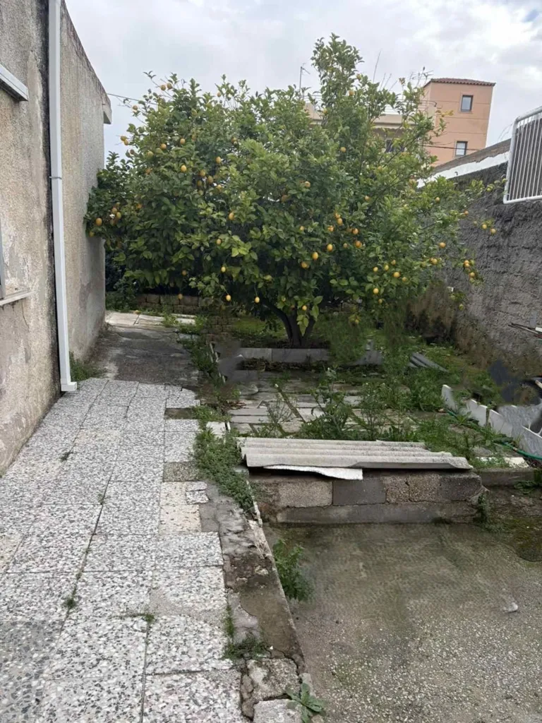 Garden - Detached House with Garden in Agios Dimitrios