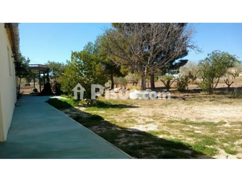 Jardin - Chalet with Large Plot in Pinoso, Polígono