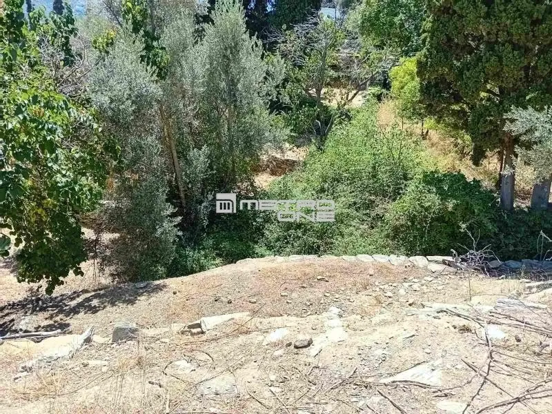 Giardino - Buildable Plot with Open Views in Andros