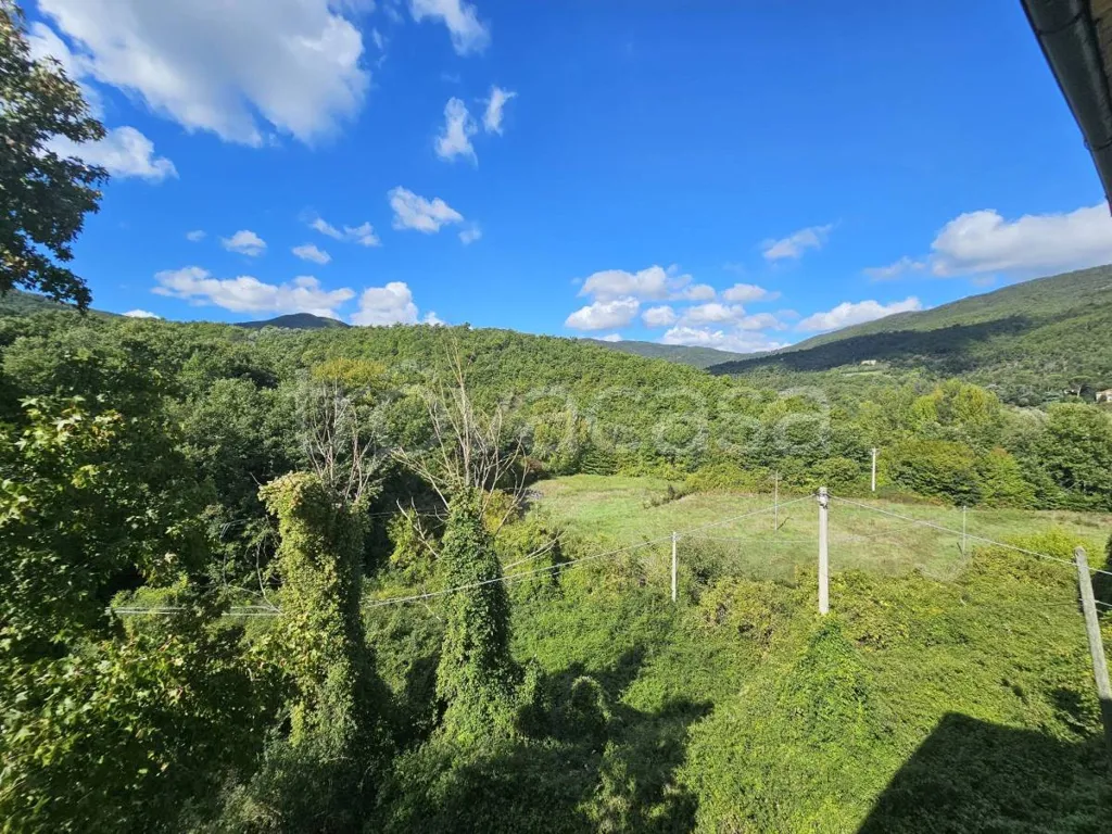 Jardin - Panoramic Apartment with Garden in Lisciano Niccone