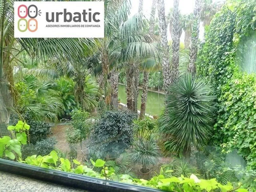 Jardin - Luxury Detached House with Pool in Gandia