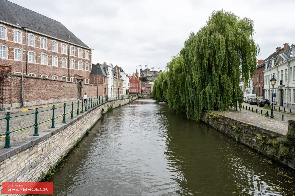 Charming Townhouse with Garden in Gent