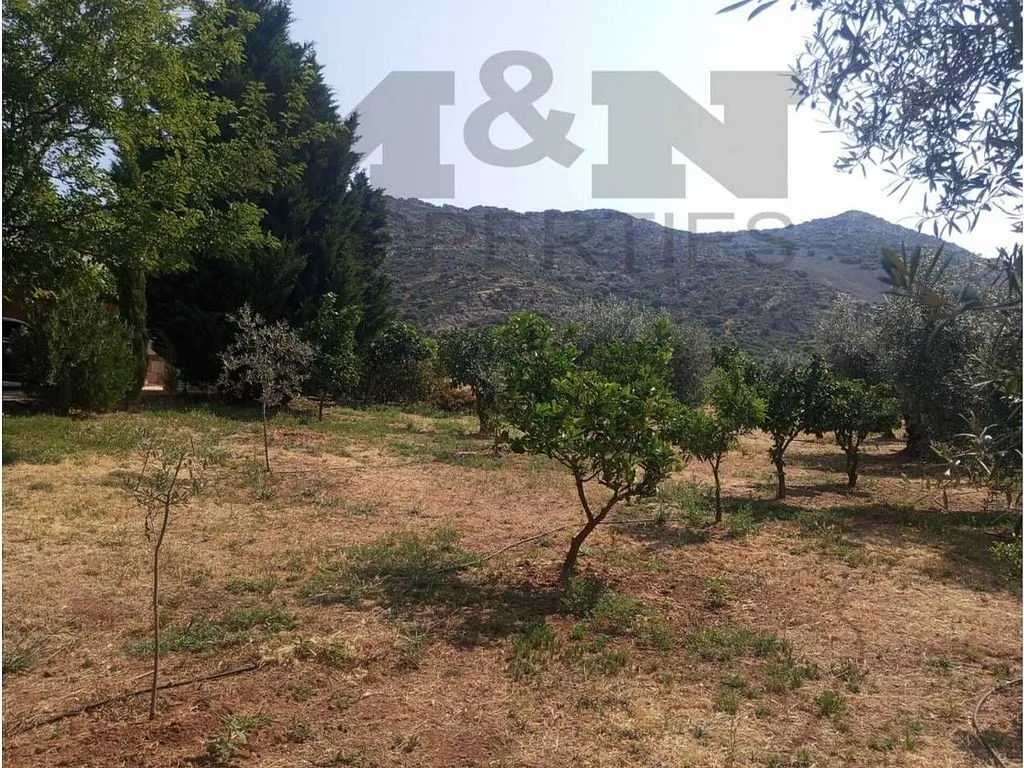 Aed - Rural Cortijo with Pool near Alange