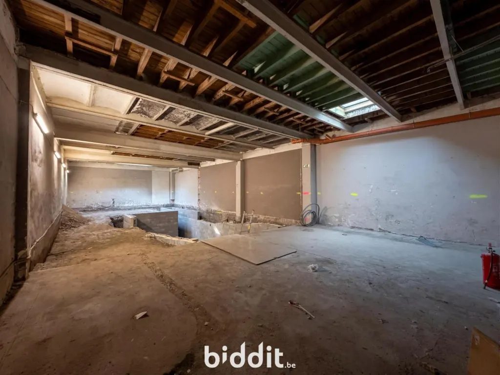 Toad - Commercial Ground Floor in Liège