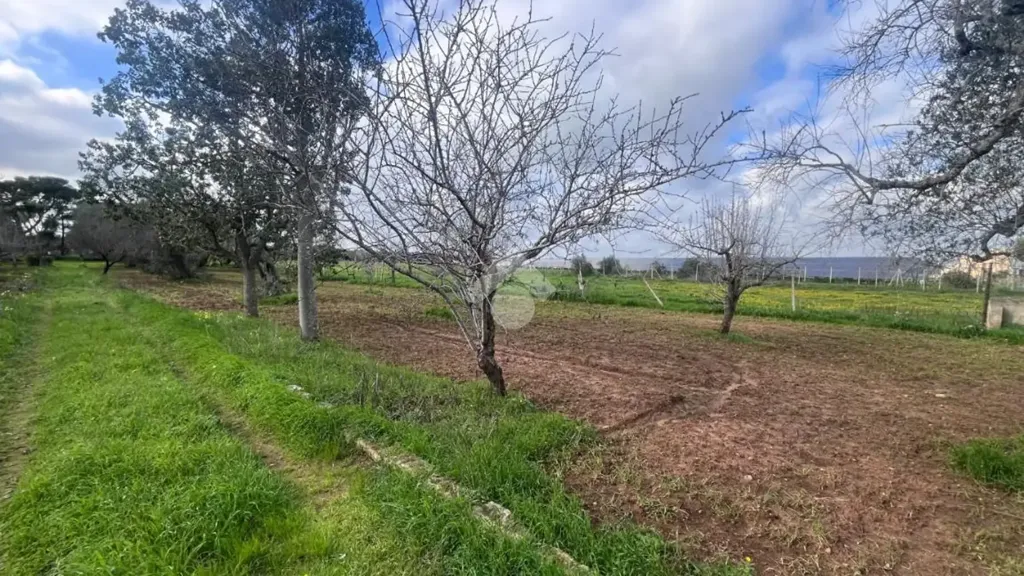 Garden - Rustic Villa with Garden in Mesagne