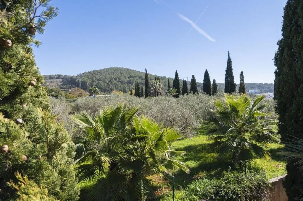 Aed - Exclusive Country House with Rustic Charm in Ibiza