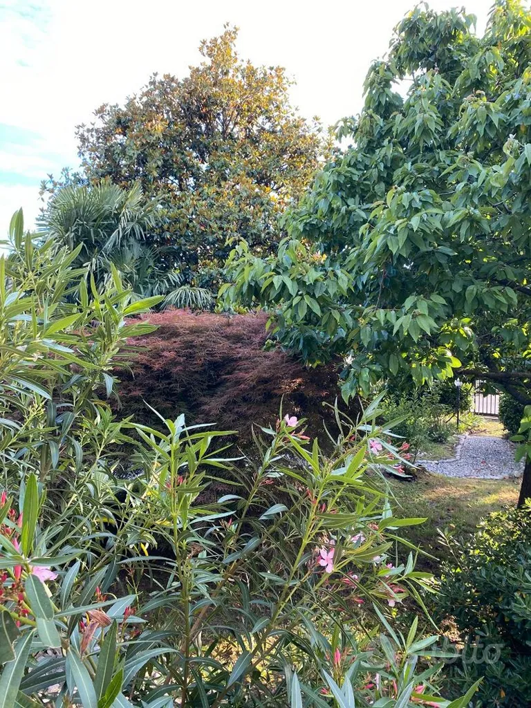 Jardin - Independent Villa with Garden in Sozzago