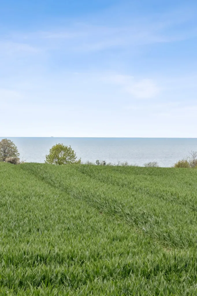 Aed - Villa with Sea View in Rygård Strand