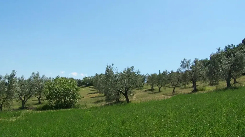 Jardin - Eco-Friendly House in Montemassi, Tuscany