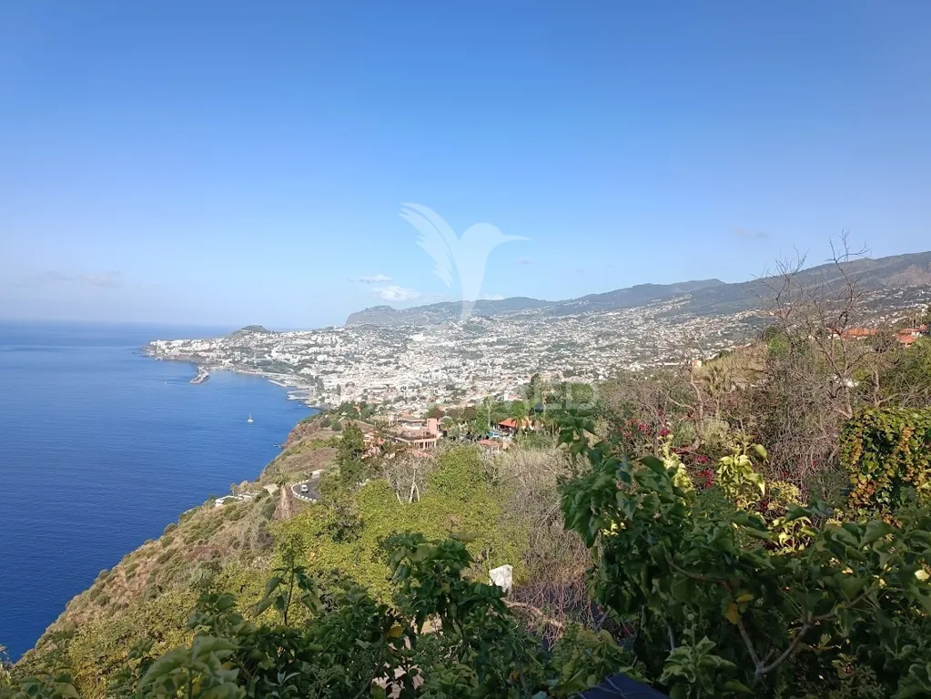 Aed - Luxury Villa with City View in Funchal