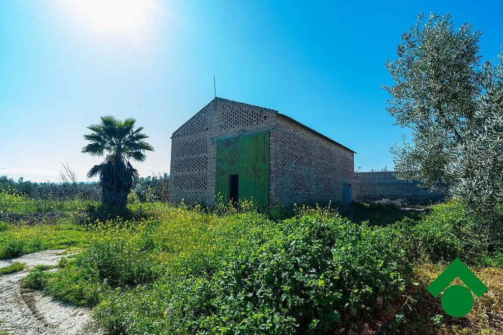Esterno - Rustic Farmhouse with Terrace in Chauchina