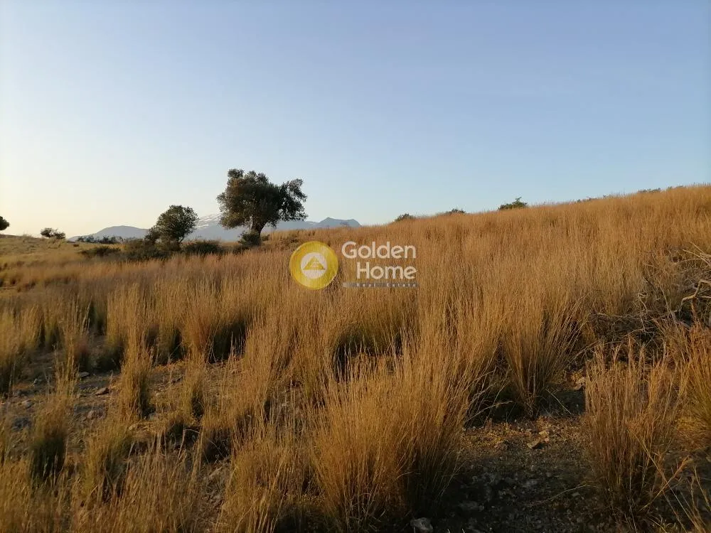 Aed - Agricultural Plot with Panoramic Views in Phaistos