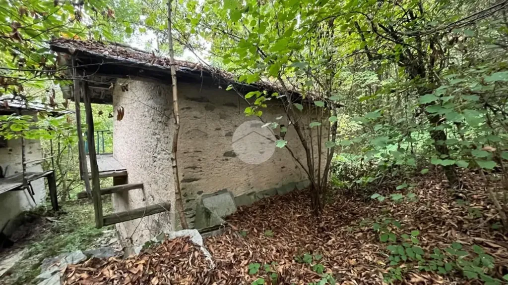 Extérieur - Rustic Property with Forest Land in Bagnolo Piemonte