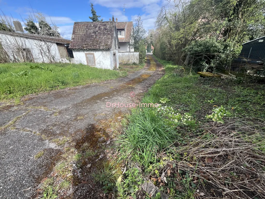 Garden - Light-Filled House with Garden in Soultz-Haut-Rhin