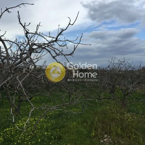 Jardin - Buildable Plot with Panoramic Views in Agia Napa - Vathý