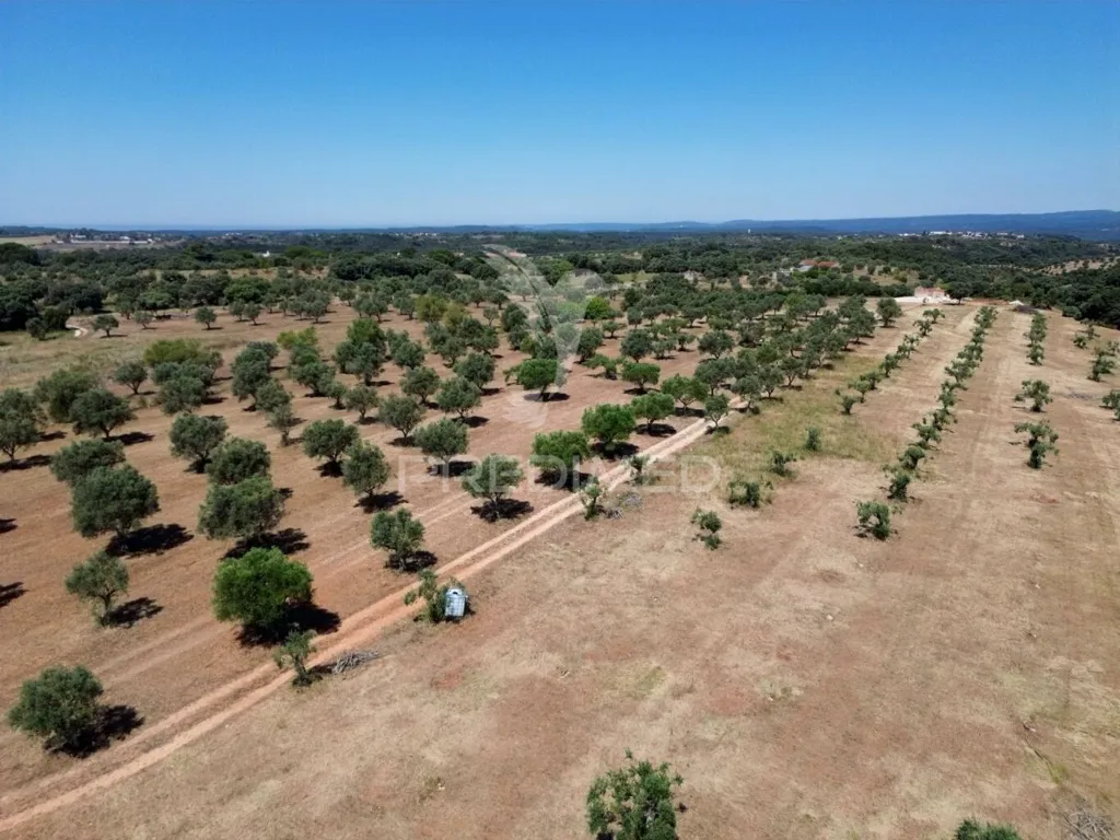 Vue aérienne - Rural Quinta with Olive Grove in Vaqueiros