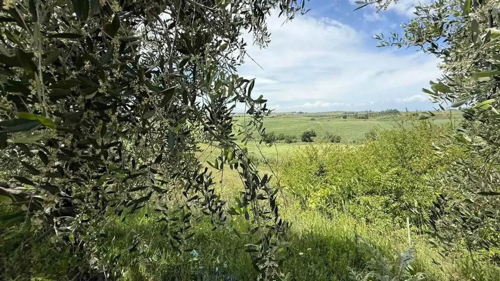 Aed - Rustic Property with Panoramic Views in Santa Luce
