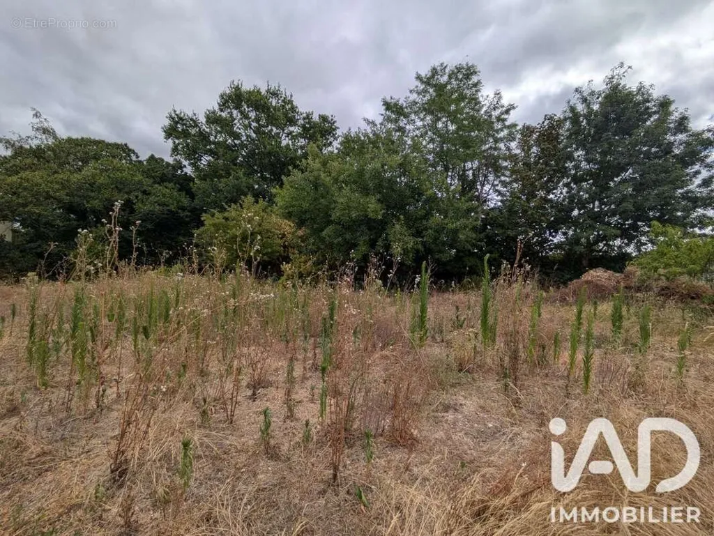 Giardino - Buildable Plot with Strategic Location in Challans