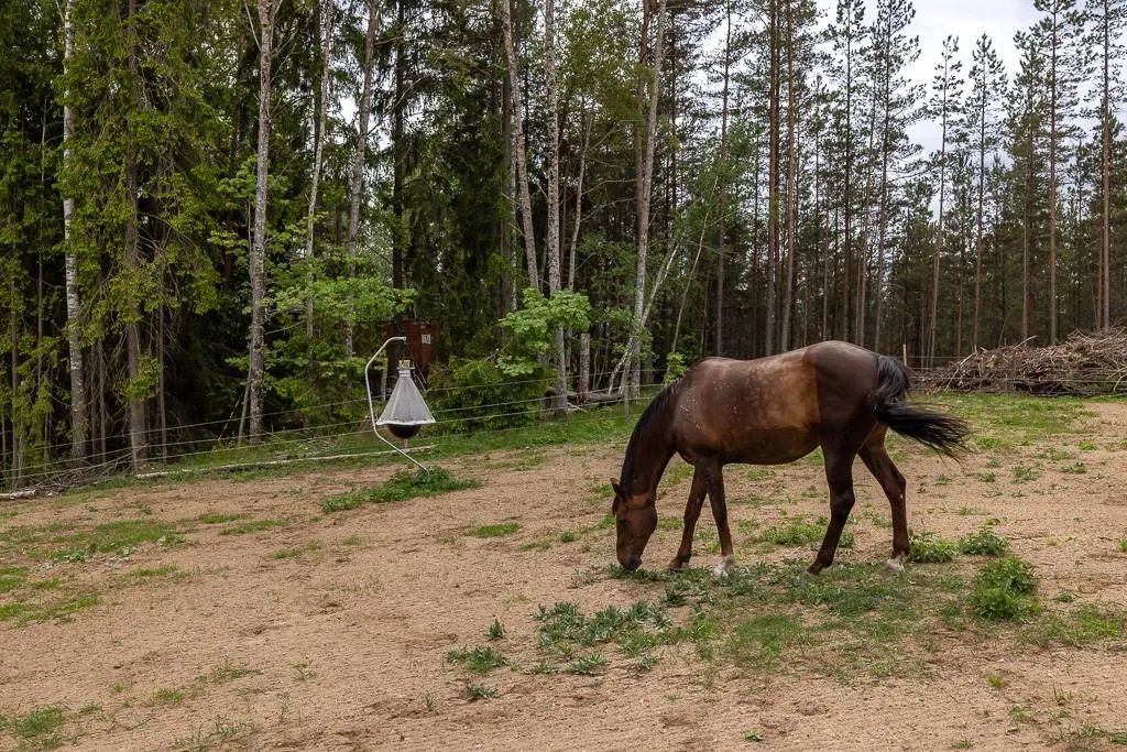 7-toaline maja asukohas Norrtälje kommun